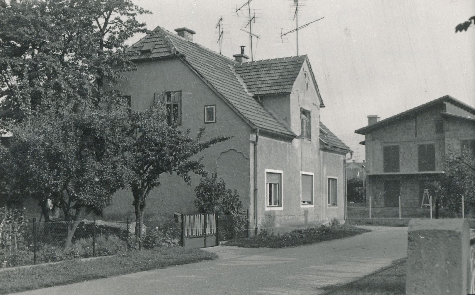 eika image